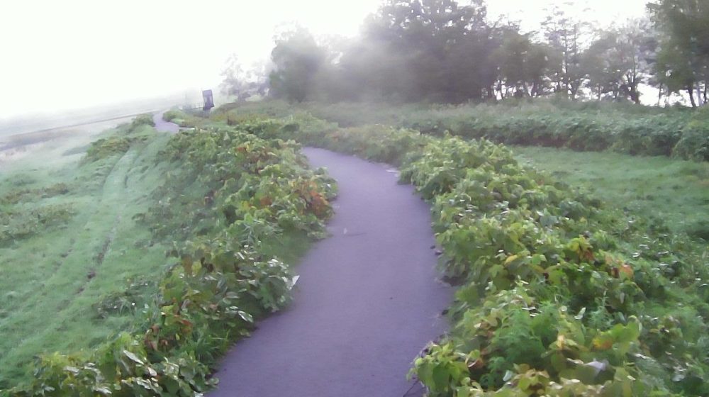 雨竜川50.8KP右岸