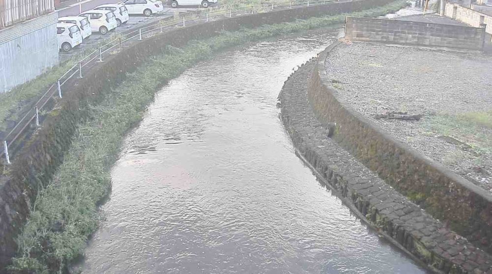 巴波川栃木市役所裏