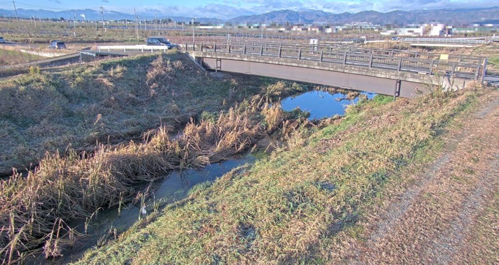 八木沢川小島東橋左岸