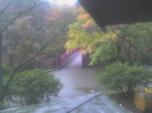 弥彦公園もみじ谷・弥彦山・弥彦神社ライブカメラ（新潟県弥彦村） | ライブカメラJAPAN FUJIYAMA