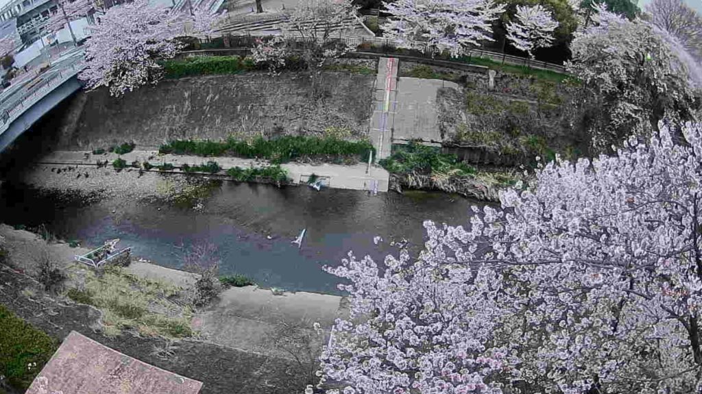 山崎川瑞穂