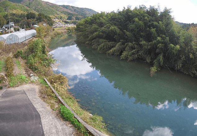 柳瀬川大田川橋