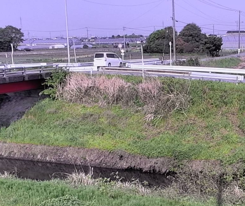 矢崎川水位観測所