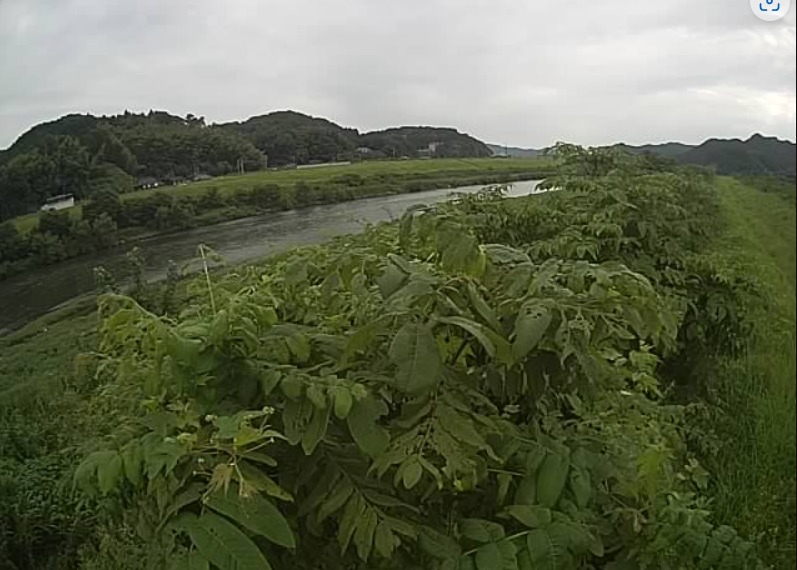 由良川大江町夏間