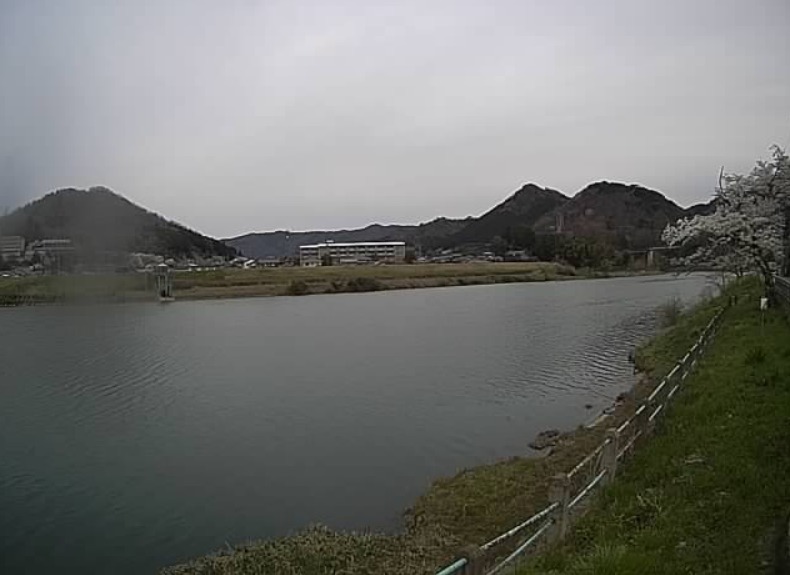 由良川綾部大橋上流左岸