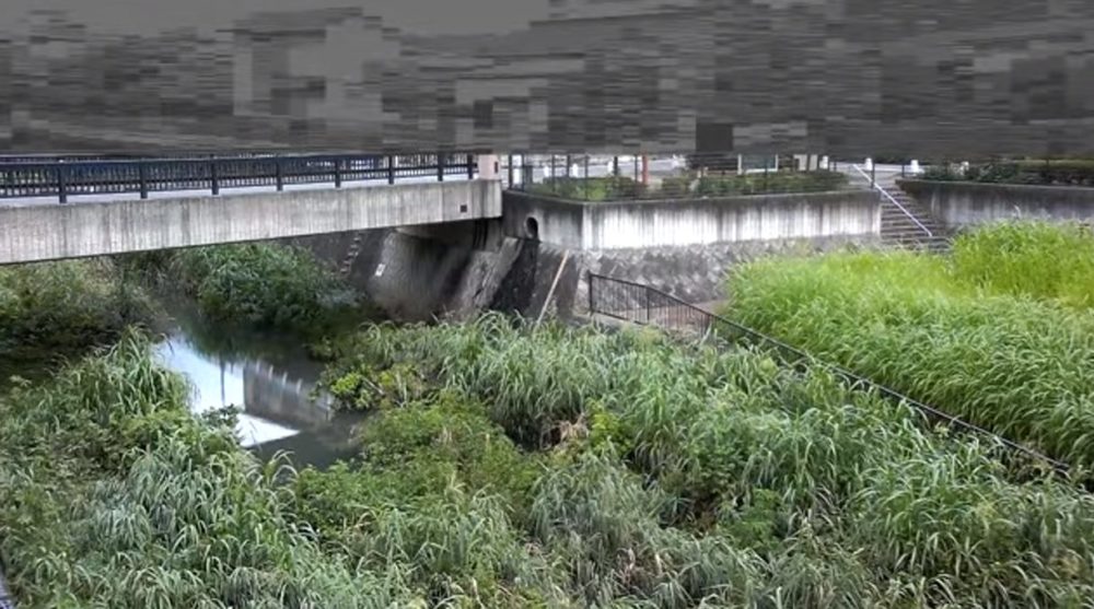 残堀川表橋