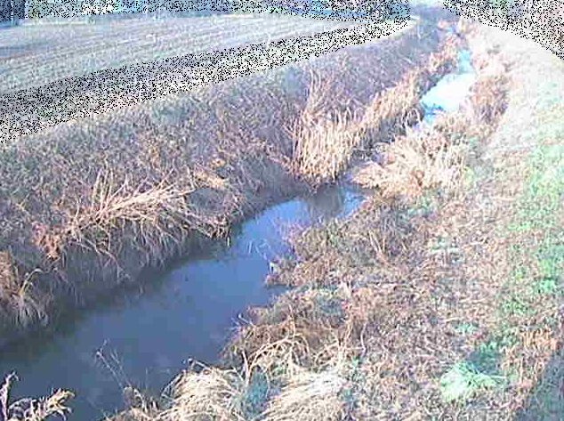 座禅川土屋窪橋