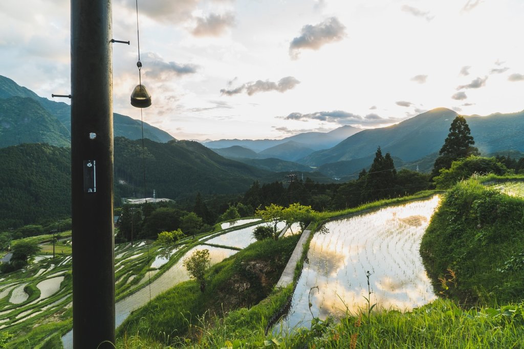 三重県千枚田