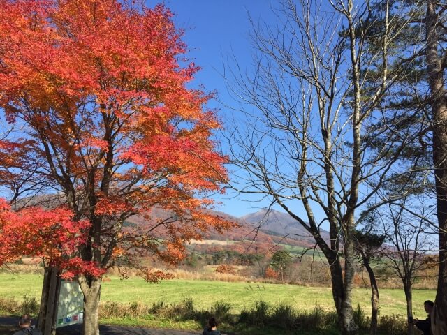 岡山県蒜山三座